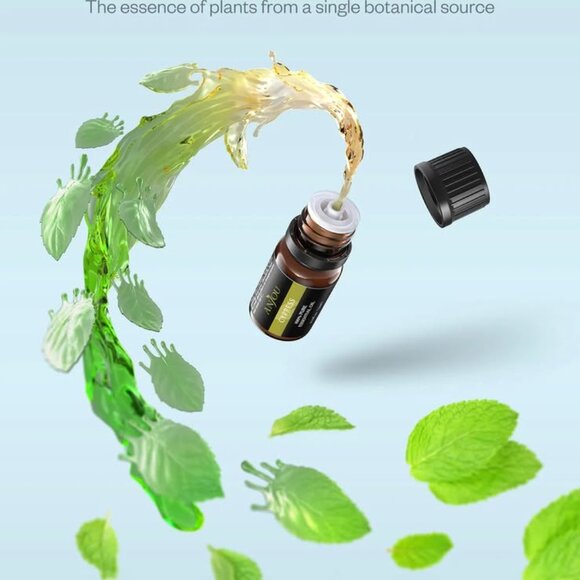 New no defects jewelry dish 6.6” x 5” Life at Home - Picture 5 of 5